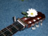 Guitarra-Flor