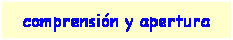 Cuadro de texto: comprensin y apertura
